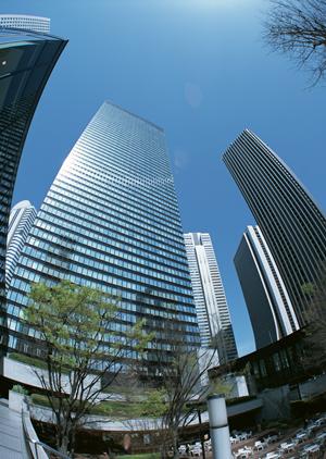 明治神宮と代々木公園の緑の中で暮らす