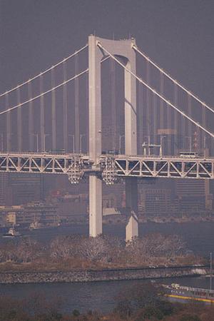 千葉県流山市で物件を探しているなら