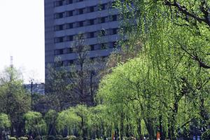 足場工事はこの会社に任せましょう